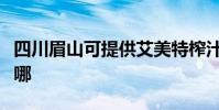 四川眉山可提供艾美特榨汁機維修服務地址在哪
