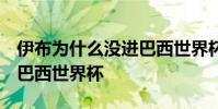 伊布為什么沒進巴西世界杯 伊布為什么沒 進巴西世界杯