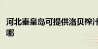 河北秦皇島可提供洛貝榨汁機維修服務地址在哪