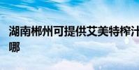湖南郴州可提供艾美特榨汁機維修服務地址在哪