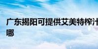 廣東揭陽可提供艾美特榨汁機維修服務地址在哪