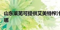 山東萊蕪可提供艾美特榨汁機維修服務地址在哪