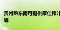 貴州黔東南可提供康佳榨汁機維修服務地址在哪