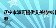 遼寧本溪可提供艾美特榨汁機維修服務地址在哪