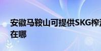 安徽馬鞍山可提供SKG榨汁機維修服務地址在哪