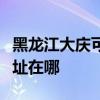 黑龍江大慶可提供萊克空氣凈化器維修服務地址在哪