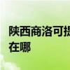 陜西商洛可提供松下空氣凈化器維修服務地址在哪