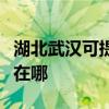 湖北武漢可提供三星空氣凈化器維修服務地址在哪