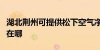 湖北荊州可提供松下空氣凈化器維修服務地址在哪