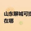 山東聊城可提供錘子空氣凈化器維修服務地址在哪