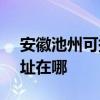 安徽池州可提供SKG空氣凈化器維修服務地址在哪