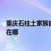 重慶石柱土家族自治縣可提供貝爾萊德掛燙機維修服務地址在哪