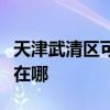 天津武清區可提供飛利浦掛燙機維修服務地址在哪