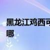 黑龍江雞西可提供紅心掛燙機維修服務地址在哪