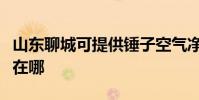山東聊城可提供錘子空氣凈化器維修服務地址在哪