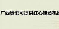 廣西貴港可提供紅心掛燙機維修服務地址在哪