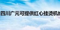 四川廣元可提供紅心掛燙機維修服務地址在哪