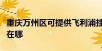 重慶萬州區可提供飛利浦掛燙機維修服務地址在哪