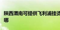 陜西渭南可提供飛利浦掛燙機維修服務地址在哪