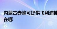 內蒙古赤峰可提供飛利浦掛燙機維修服務地址在哪
