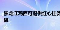 黑龍江雞西可提供紅心掛燙機維修服務地址在哪