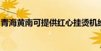 青海黃南可提供紅心掛燙機維修服務地址在哪