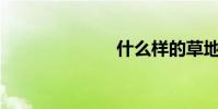 什么樣的草地?