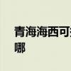 青海海西可提供SKG電吹風維修服務地址在哪