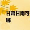 甘肅甘南可提供SKG電吹風維修服務地址在哪