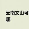 云南文山可提供SKG按摩器維修服務地址在哪