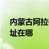 內蒙古阿拉善可提供SKG剃須刀維修服務地址在哪