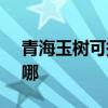 青海玉樹可提供SKG按摩器維修服務地址在哪
