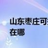 山東棗莊可提供SKG健身器材維修服務地址在哪