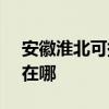 安徽淮北可提供SKG健身器材維修服務地址在哪