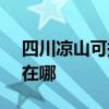 四川涼山可提供SKG健身器材維修服務地址在哪