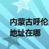 內蒙古呼倫貝爾可提供SKG按摩器維修服務地址在哪