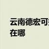 云南德宏可提供SKG健身器材維修服務地址在哪