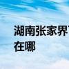 湖南張家界可提供SKG按摩器維修服務地址在哪