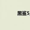 黑鯊5上手 黑鯊5支持肩鍵嗎 