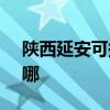 陜西延安可提供SKG按摩器維修服務地址在哪