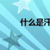 什么是汗水淋漓的填空單詞二年級
