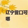 遼寧營口可提供SKG電吹風維修服務地址在哪