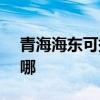 青海海東可提供SKG剃須刀維修服務地址在哪