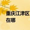 重慶江津區可提供SKG按摩器維修服務地址在哪