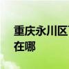 重慶永川區可提供SKG剃須刀維修服務地址在哪