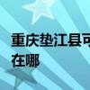 重慶墊江縣可提供舒華健身器材維修服務地址在哪