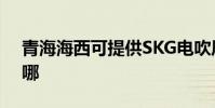 青海海西可提供SKG電吹風維修服務地址在哪