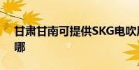 甘肅甘南可提供SKG電吹風維修服務地址在哪