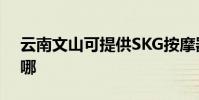 云南文山可提供SKG按摩器維修服務地址在哪