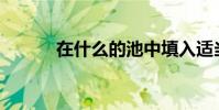 在什么的池中填入適當的單詞?